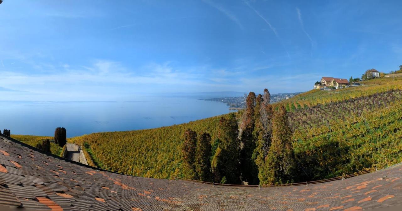 Domaine De La Crausaz Grandvaux Exterior photo